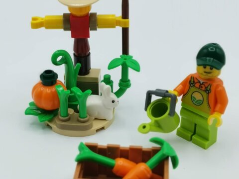 Revisión: Set 30590, Farm Garden and Scarecrow