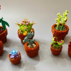 Revisión: Tiny Plantas o Plantas Diminutas (10329)